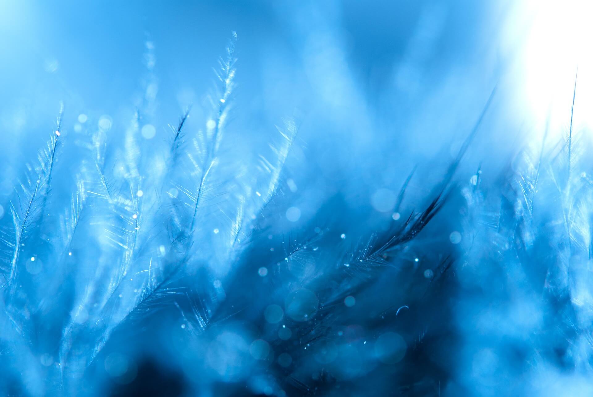 page-header